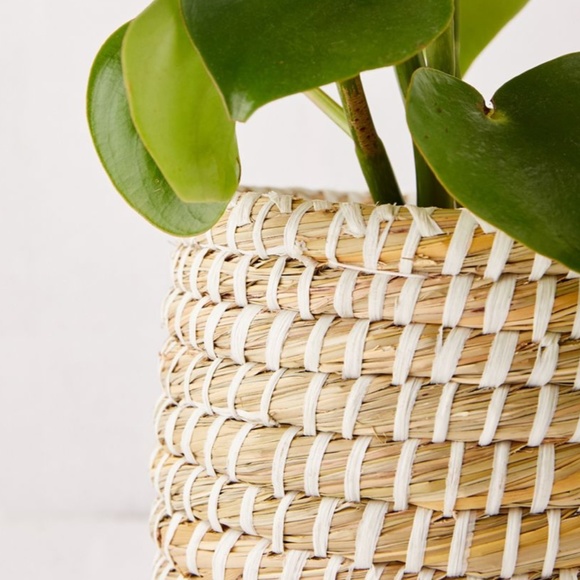 Dia Natural Basket Wicker Boho Peasant Hipster Hippie Art Deco Hip Small Planter - Picture 2 of 3